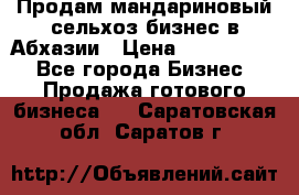 Продам мандариновый сельхоз-бизнес в Абхазии › Цена ­ 1 000 000 - Все города Бизнес » Продажа готового бизнеса   . Саратовская обл.,Саратов г.